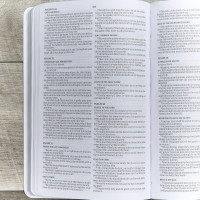 Anglais, Bible KJV, similicuir, blanche, Gift & Award