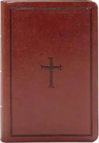 Espagnol, Bible, Nueva Version internacional, gros caractères, couverture souple - letra grande, NVI