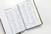 Luther 21 - Standardausgabe - Vintage Design - gebunden