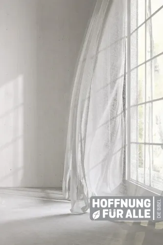 Hoffnung für alle. Die Bibel. - Breathe Edition - Großformat - 15,4 x 23,1 cm