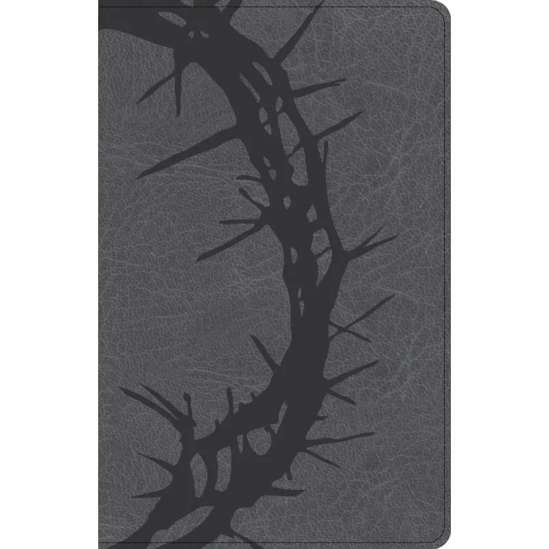 Anglais, Bible, Christian Standard Bible, gros caractères, moyen format, similicuir noir, motif...