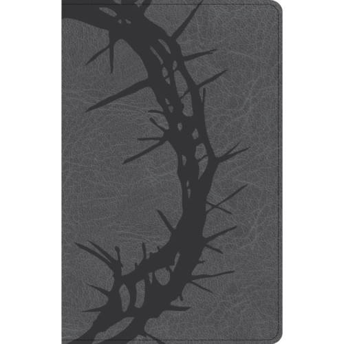Anglais, Bible, Christian Standard Bible, gros caractères, moyen format, similicuir noir, motif...