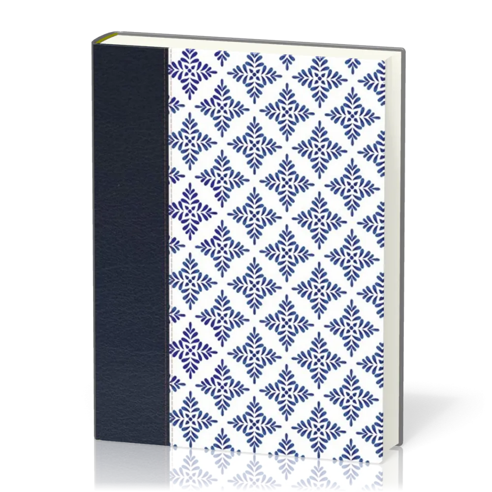 Espagnol, Bible journal de bord Nueva Versión Internactional, gros caractères, similicuir,...