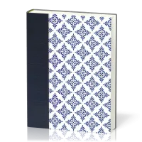 Espagnol, Bible journal de bord Nueva Versión Internactional, gros caractères, similicuir,...