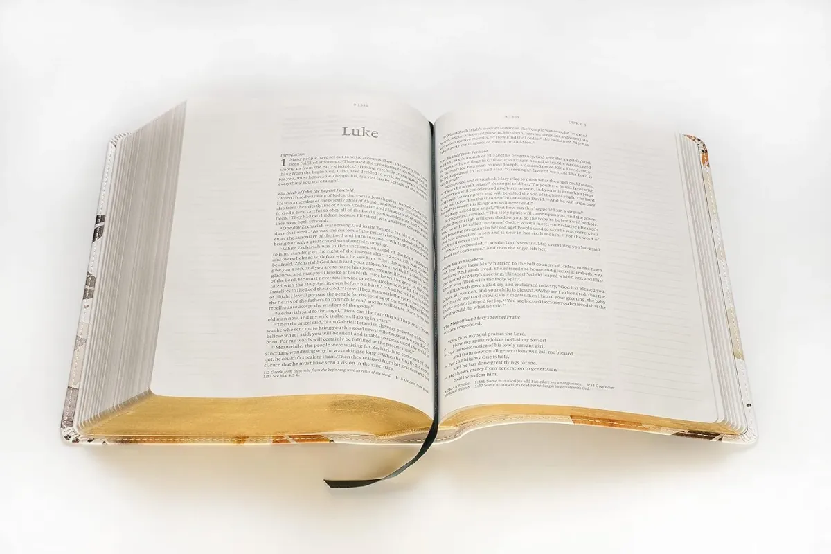 Englisch, NLT Wide Margin Bible, Filament-Enabled Edition (Leatherlike, Autumn Leaves)