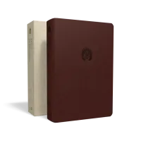 Portugais, Bible, Almeida Revista et Actualizada, Bible d'étude la foi réformée - similicuir...