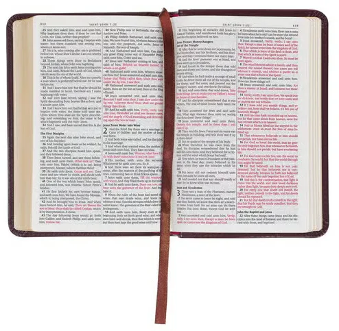 Englisch, King James Bibel, Taschenformat mit Goldschnitt - Kunstleder braun