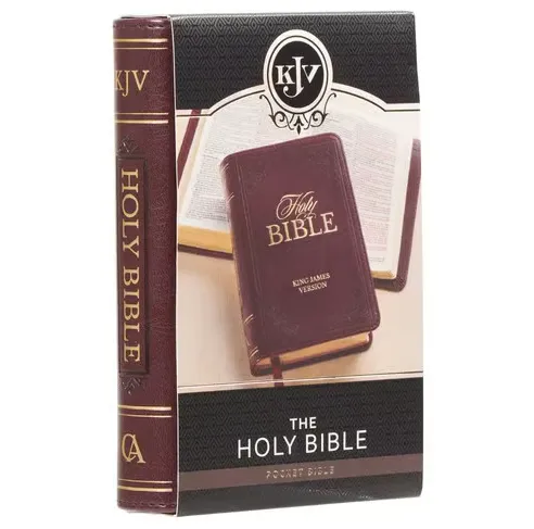 Englisch, King James Bibel, Taschenformat mit Goldschnitt - Kunstleder braun