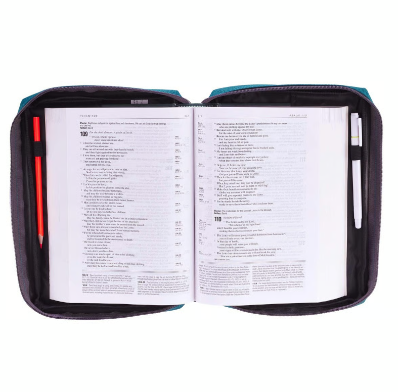 Bibelhülle Ichtus S - grün, mit Reissverschluss, Seitentasche und Tragehenkel