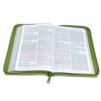 Spanisch, Bibel, Reina Valera 1960, Grossdruck - Kunstleder grün mit eingeprägtem Blattmotif,...