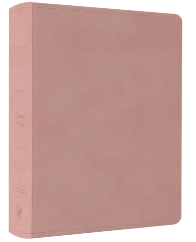 NeÜ bibel.heute Liebezurbibel (Schreibrandbibel AMARA) - Flexibler Kunstledereinband - rosa mit...