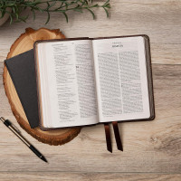 Anglais, Bible New King James Version, compact, bordeaux