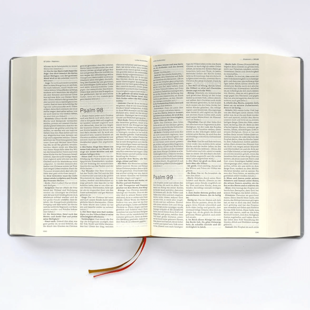 Luther Studienbibel - gebunden, Grossdruckausgabe, grau