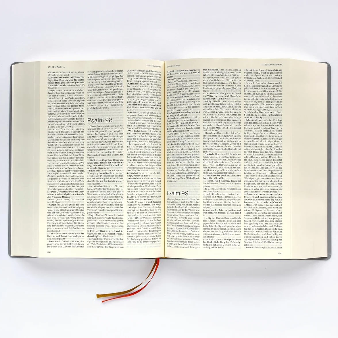 Luther Studienbibel - gebunden, Grossdruckausgabe, grau