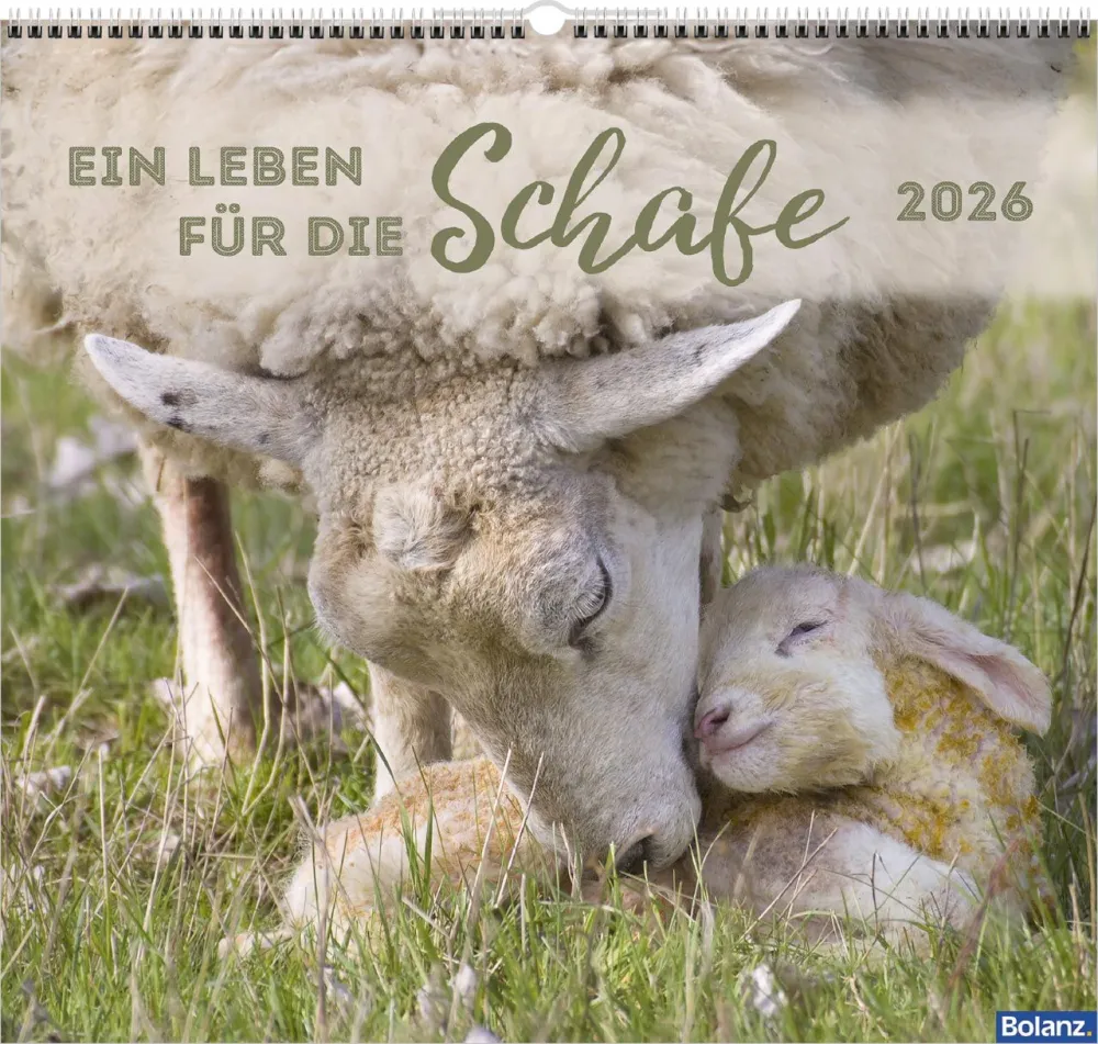 Kalender Ein Leben für die Schafe - Wandkalender