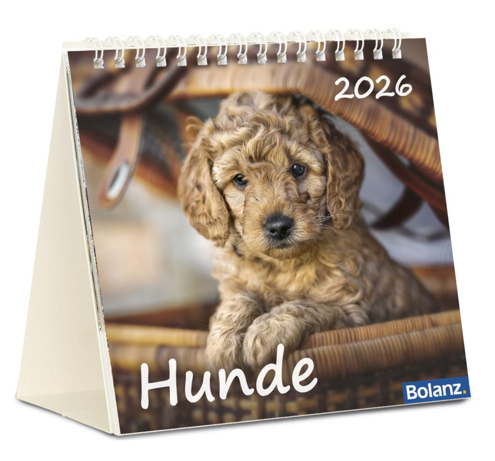 Kalender Hunde - Tischkalender
