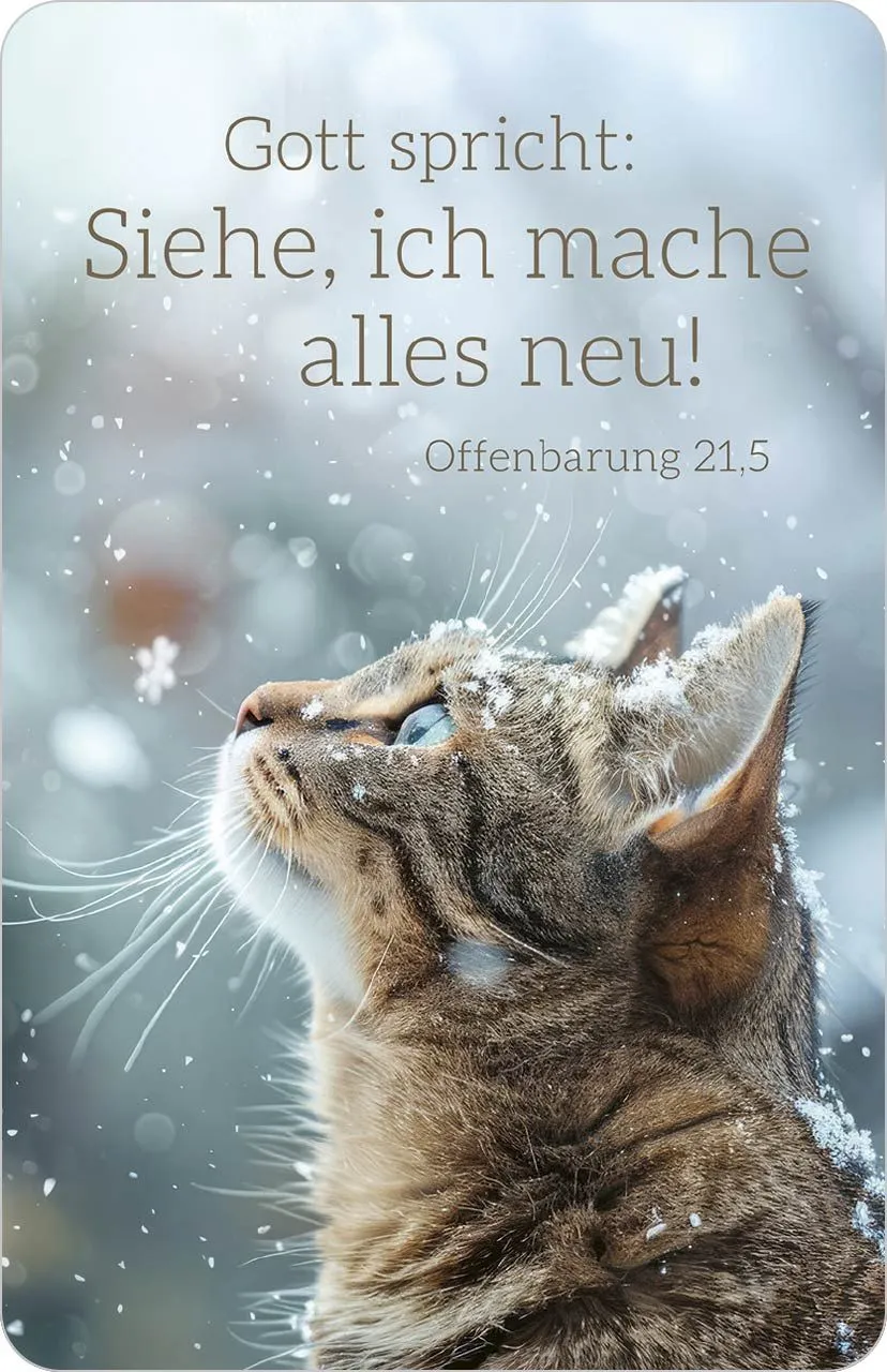 Kalender Kärtchen - Katze (Jahreskalender)