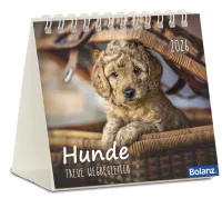 Kalender Hunde - Treue Wegbegleiter - Minikalender