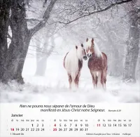 Chevaux, Merveilles de la création - Calendrier de table