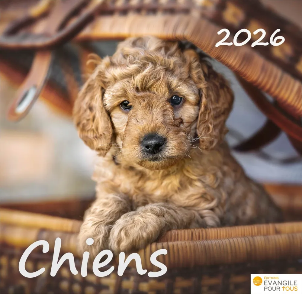 Chiens, Merveilles de la création - Calendrier de table