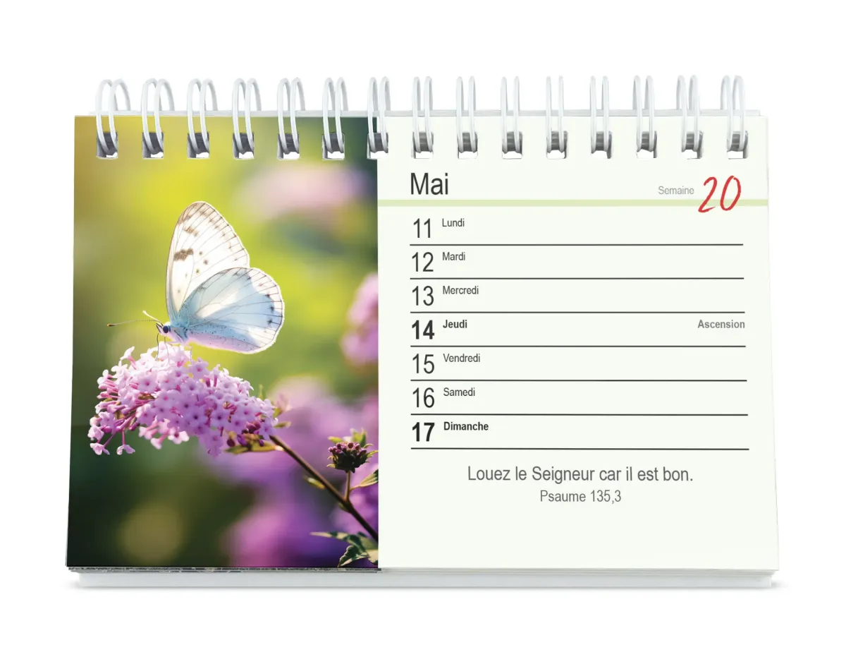 Tu m'accompagnes - calendrier de table