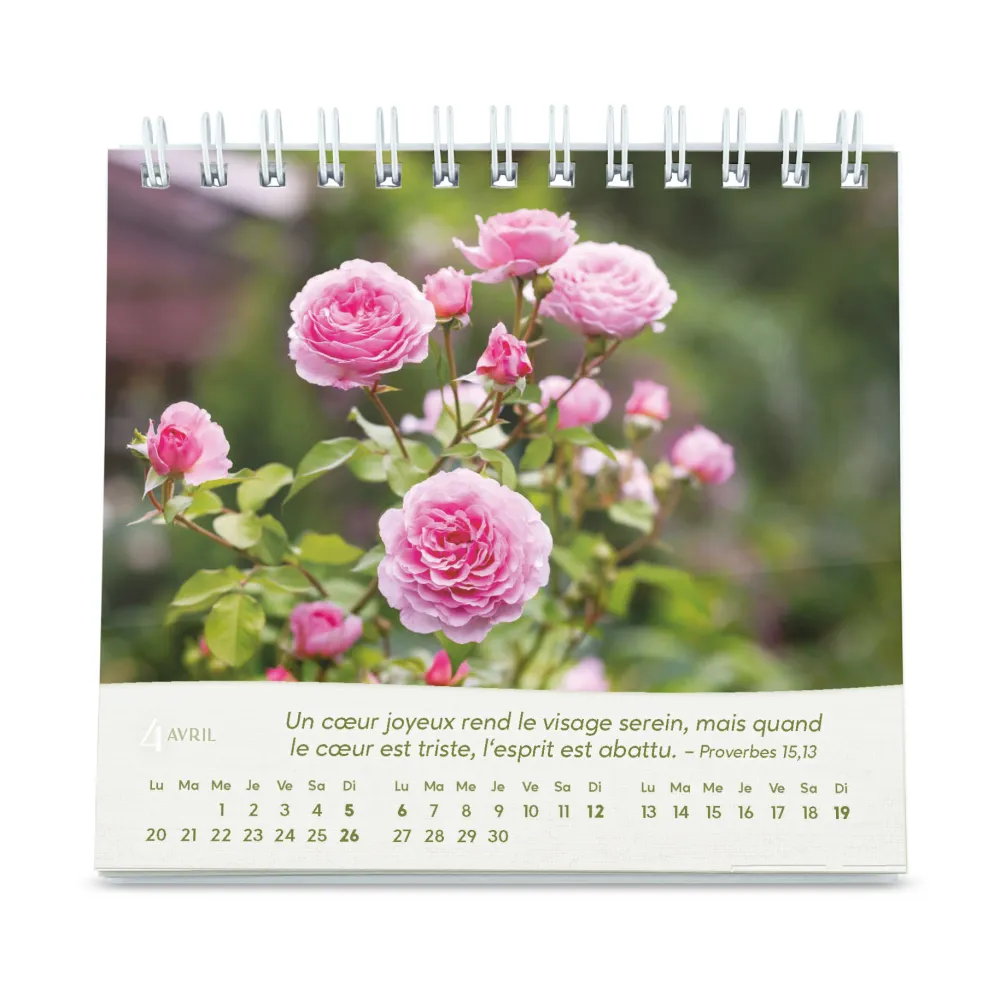 Roses - Petit calendrier avec 12 magnifiques photos de roses