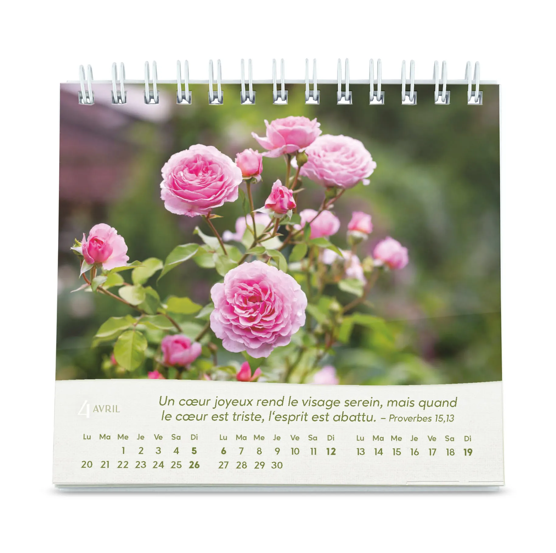 Roses - Petit calendrier avec 12 magnifiques photos de roses