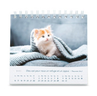 Nos amis les chats - Petit calendrier avec 12 belles photos de chats