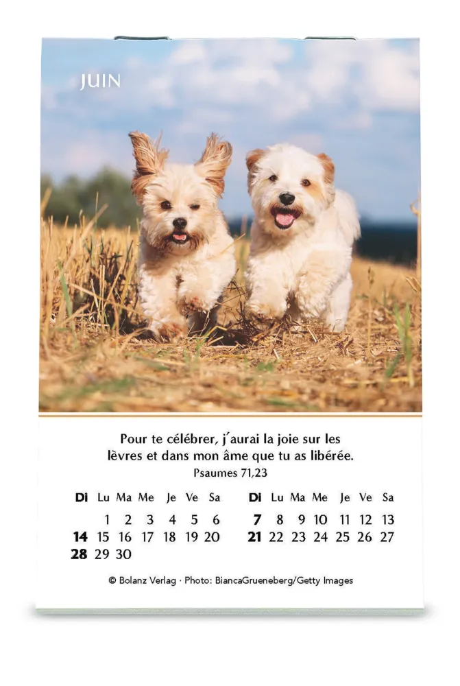Joie - mini calendrier