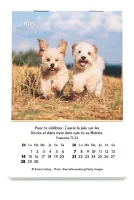 Joie - mini calendrier