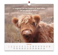 Nos amis les animaux - Calendrier