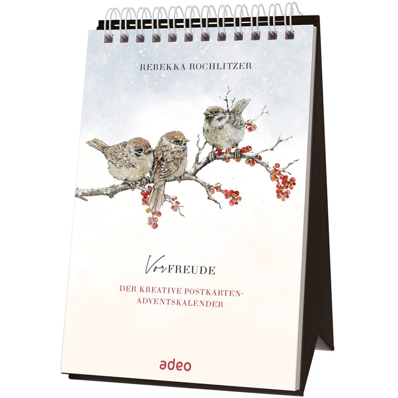 Vorfreude (Aufstell-Adventskalender) - Der kreative Postkarten-Adventskalender