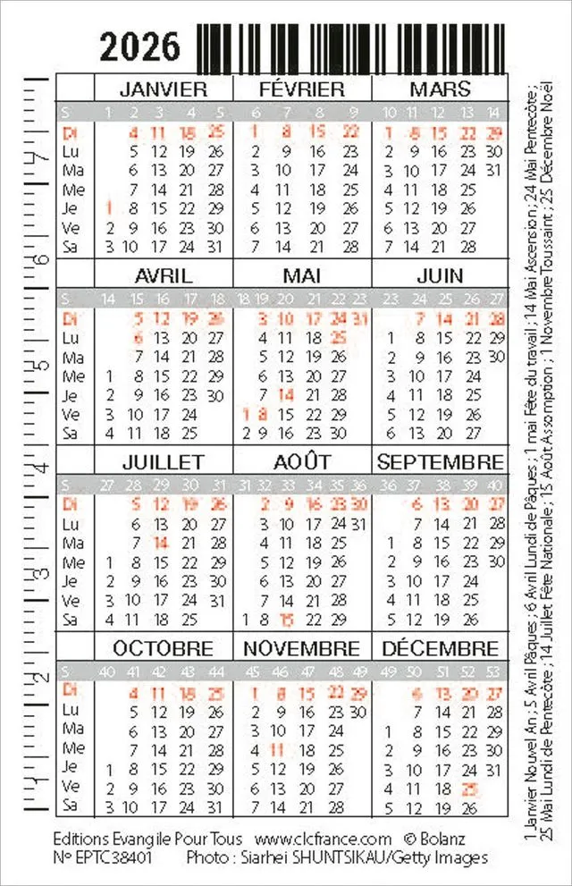Calendrier format carte de crédit - Motif Chat (Galates 5.1)