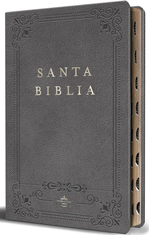 Espagnol, Bible, Reina Valera 1960, moyen format, grandes lettres, similicuir gris, avec onglets,...