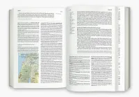Elberfelder Bibel - Leder Grau mit Goldschnitt - Die große Studien- und Kommentarausgabe