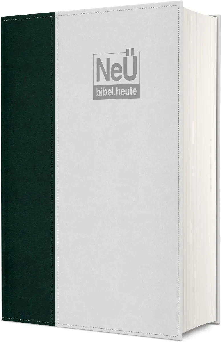 NeÜ bibel. heute Standardausgabe - Zweifarbiges Kunstleder Grün/Grau