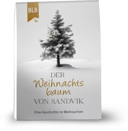 Der Weihnachtsbaum von Sandvik - Weihnachtsflyer für Erwachsene