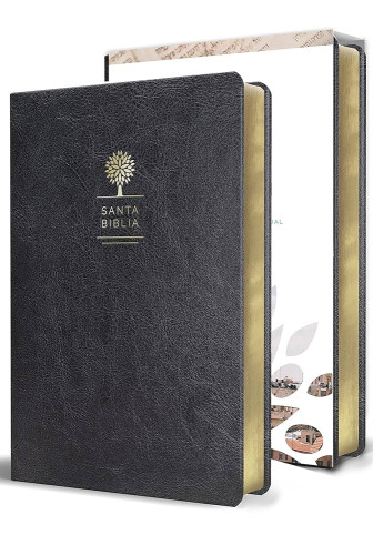 Espagnol, Bible, Reina Valera 1960, gros caractères, similicuir noir