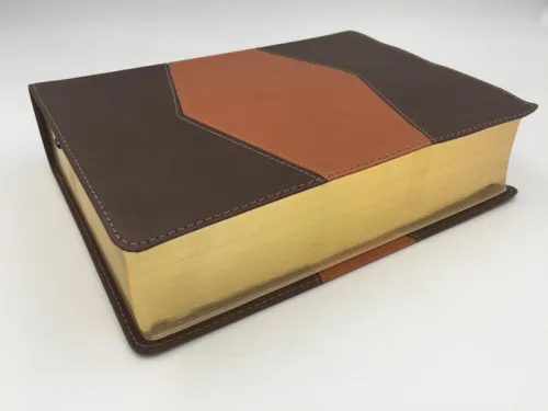 Espagnol, Bible d'étude Reina Valera 1960, similicuir, onglets, bicolor chocolat/terracotta