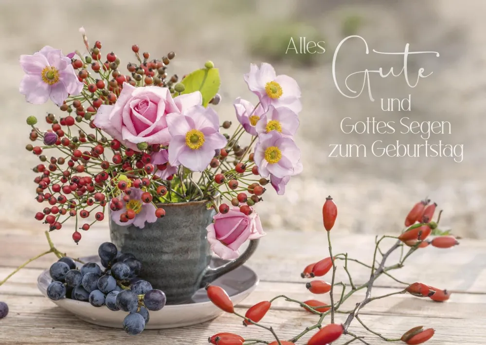 Postkartenbox Wir feiern im Garten - 12 verschiedene Postkarten in einer Box mit Magnetverschluss