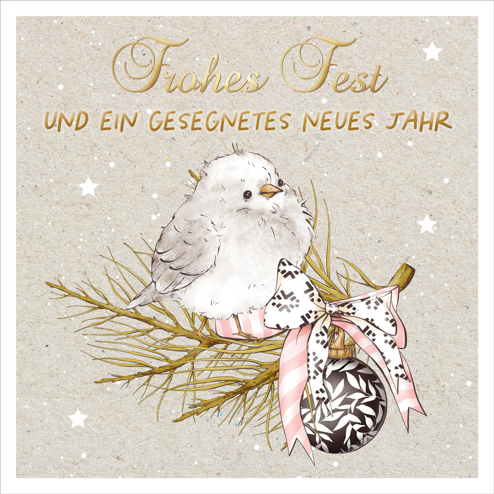 Doppelkarte Weihnachten Vogel auf Zweig ENC - Lukas 2,10.11