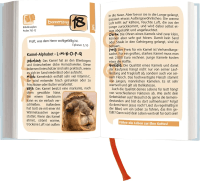 Der Kompass - Buchkalender - Auf Kurs mit Gott