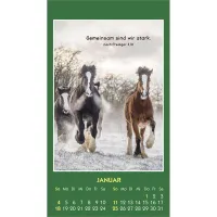 Hallo Du - Tiermotive - Aufkleber-Kalender