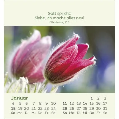 Kleine Blumengrüsse - Aufstellkalender
