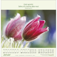 Blumengrüsse - Wandkalender