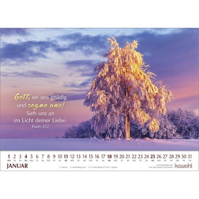 Lichtgedanken - Wandkalender