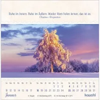 Von Herzen gute Tage - Postkartenkalender