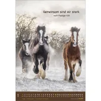 Meine kleine Welt - Wandkalender