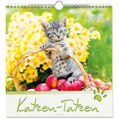 Katzen-Tatzen - Wandkalender