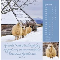 Sei behütet auf allen Wegen -Impulse und Gedanken zu Psalm 23 - Wandkalender